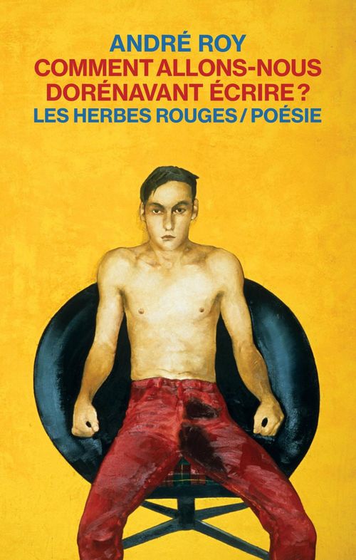 Couverture ebook de Comment allons-nous dorénavant écrire?, de Roy Andre