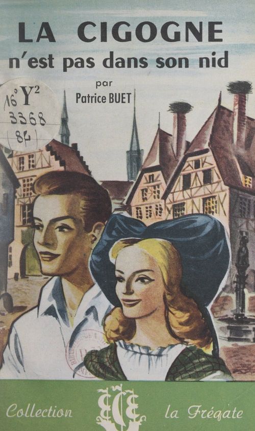 ebook cover of La cigogne n'est pas dans son nid, by Patrice Buet