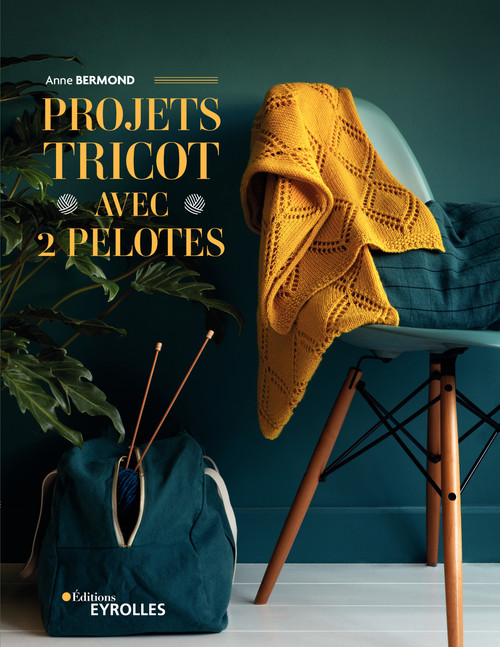 Couverture ebook de Projets tricot avec 2 pelotes, de Anne Bermond