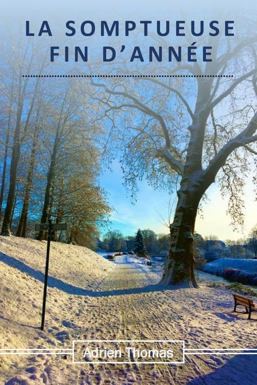 Couverture ebook de La Somptueuse fin d'année, de Adrien Thomas