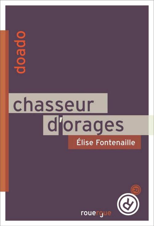 Couverture ebook de Chasseur d'orages, de Elise Fontenaille