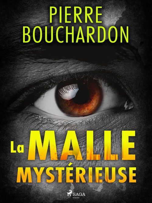 ebook cover of La Malle Mystérieuse, by Pierre Bouchardon