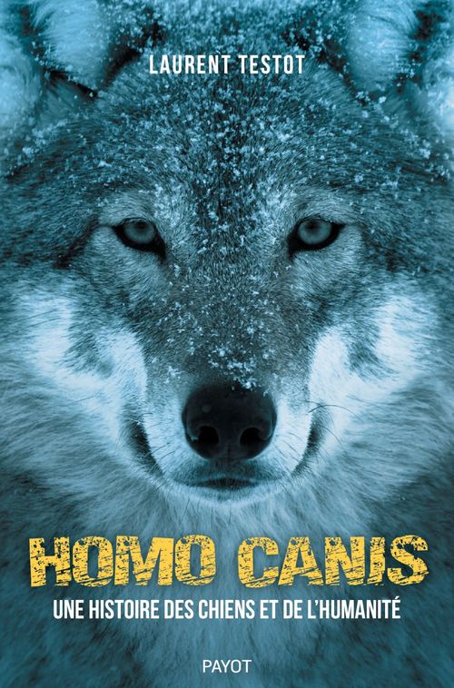 ebook cover of Homo Canis, by Laurent Testot