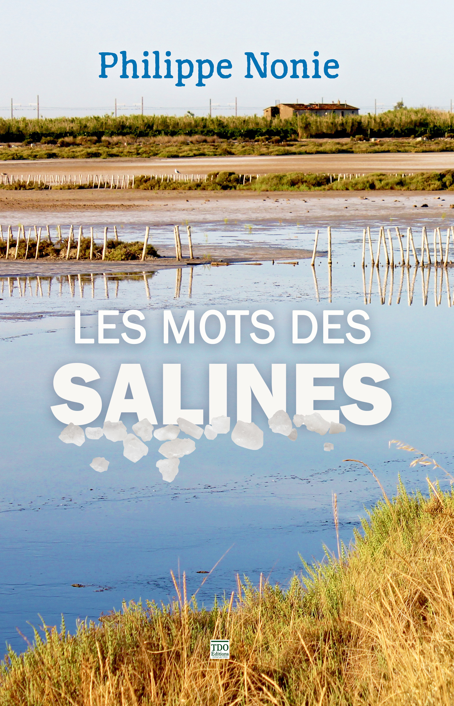 ebook cover of Les mots des Salines, by Philippe Nonie