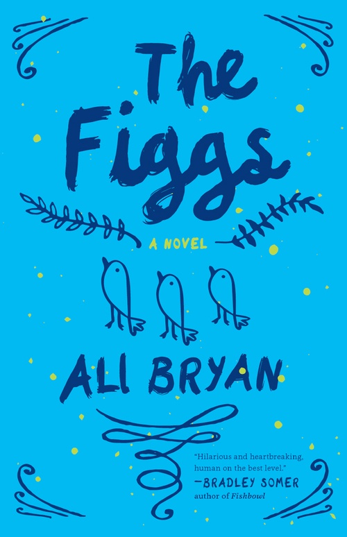 Couverture ebook de Test API, de Ali Bryan
