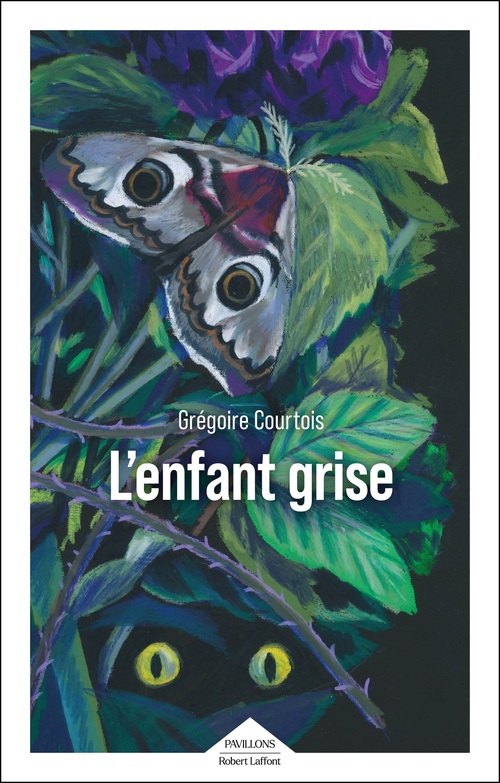 ebook cover of L'Enfant grise, by Grégoire Courtois