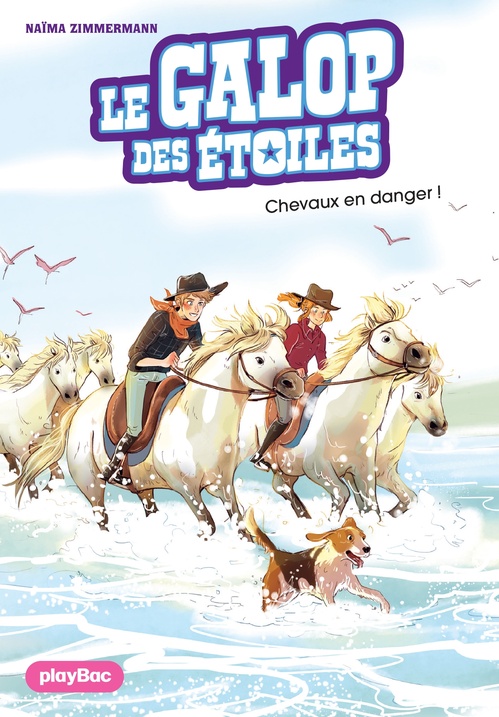 ebook cover of Le Galop des Étoiles - Chevaux en danger - Tome 10, by N. M. Zimmermann, Ariane Delrieu