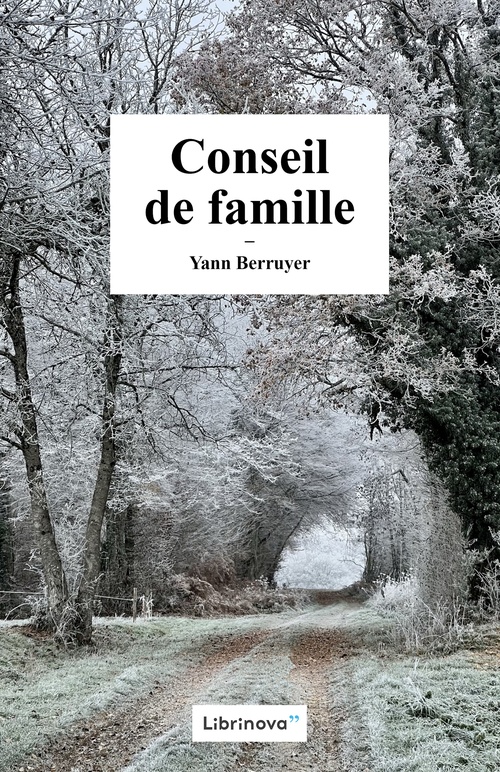 ebook cover of Conseil de famille, by Yann Berruyer
