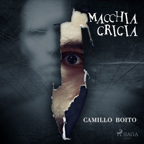 Couverture audiobook de Macchia grigia, de Camillo Boito