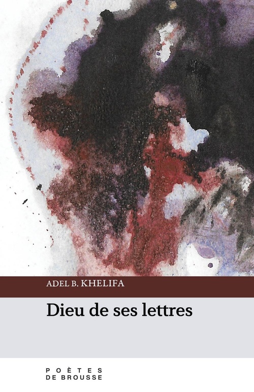 ebook cover of Dieu de ses lettres, by Adel B. Khelifa