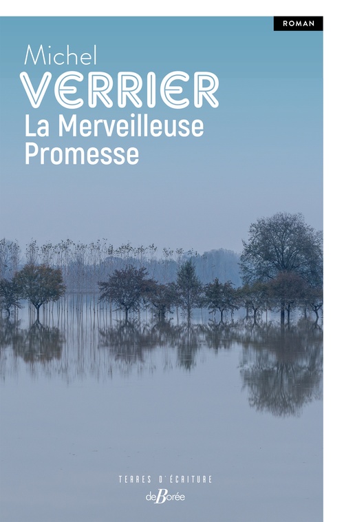 ebook cover of La Merveilleuse promesse, by Michel Verrier