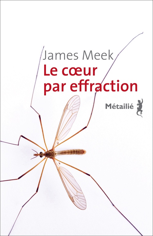 ebook cover of Le coeur par effraction, by James Meek