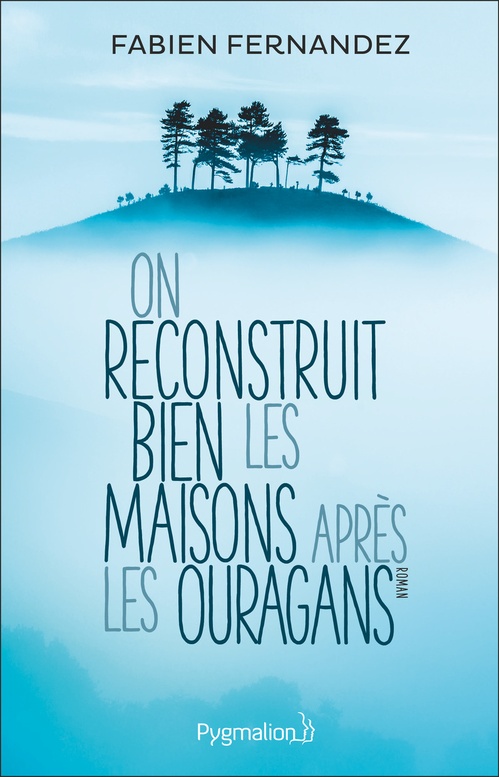 Couverture ebook de On reconstruit bien les maisons après les ouragans, de Fabien Fernandez