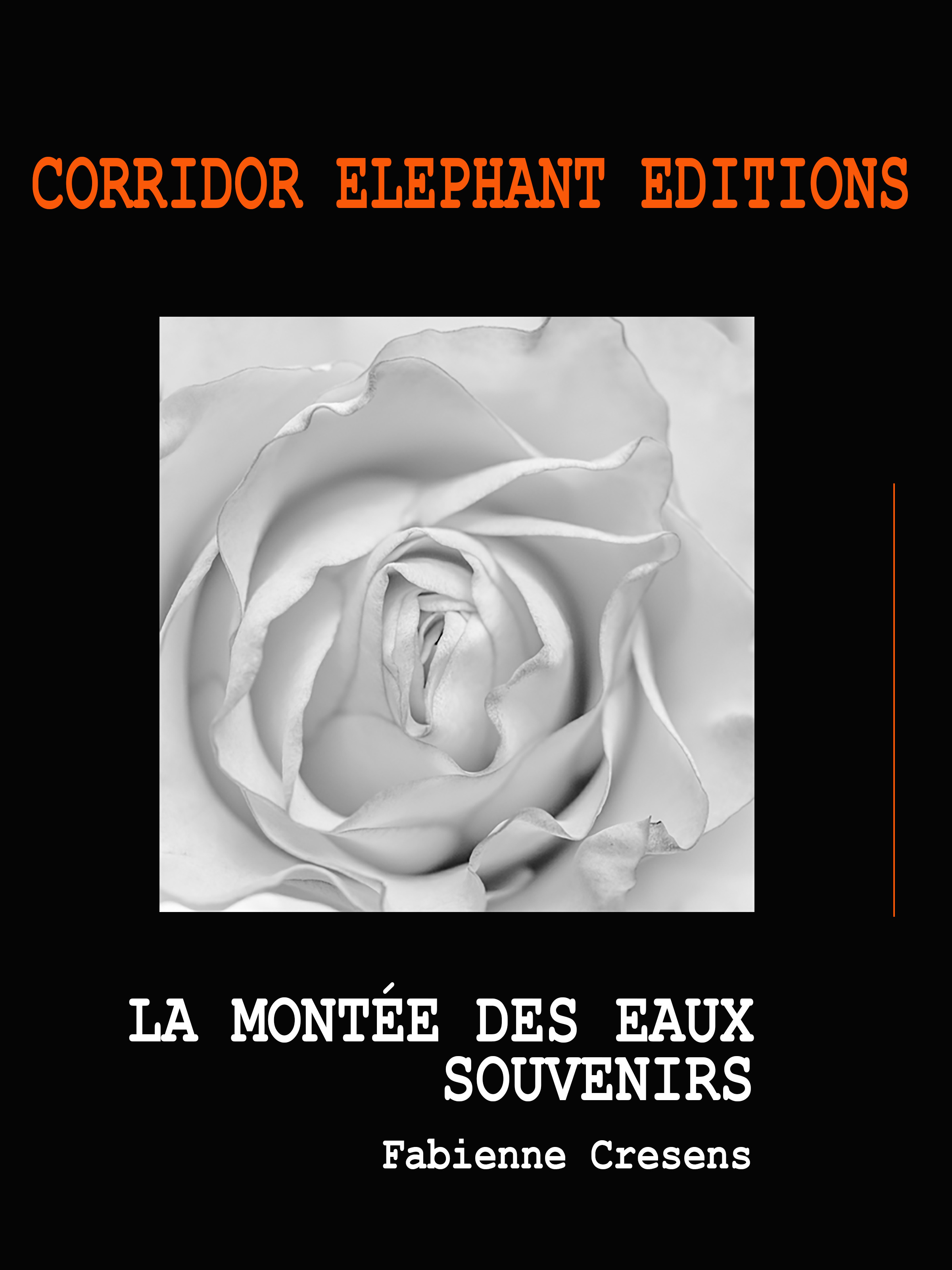 Couverture ebook de La montée des eaux - Souvenirs, de Fabienne Cressens