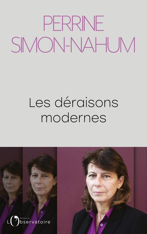 ebook cover of Les déraisons modernes, by Perrine Simon-Nahum
