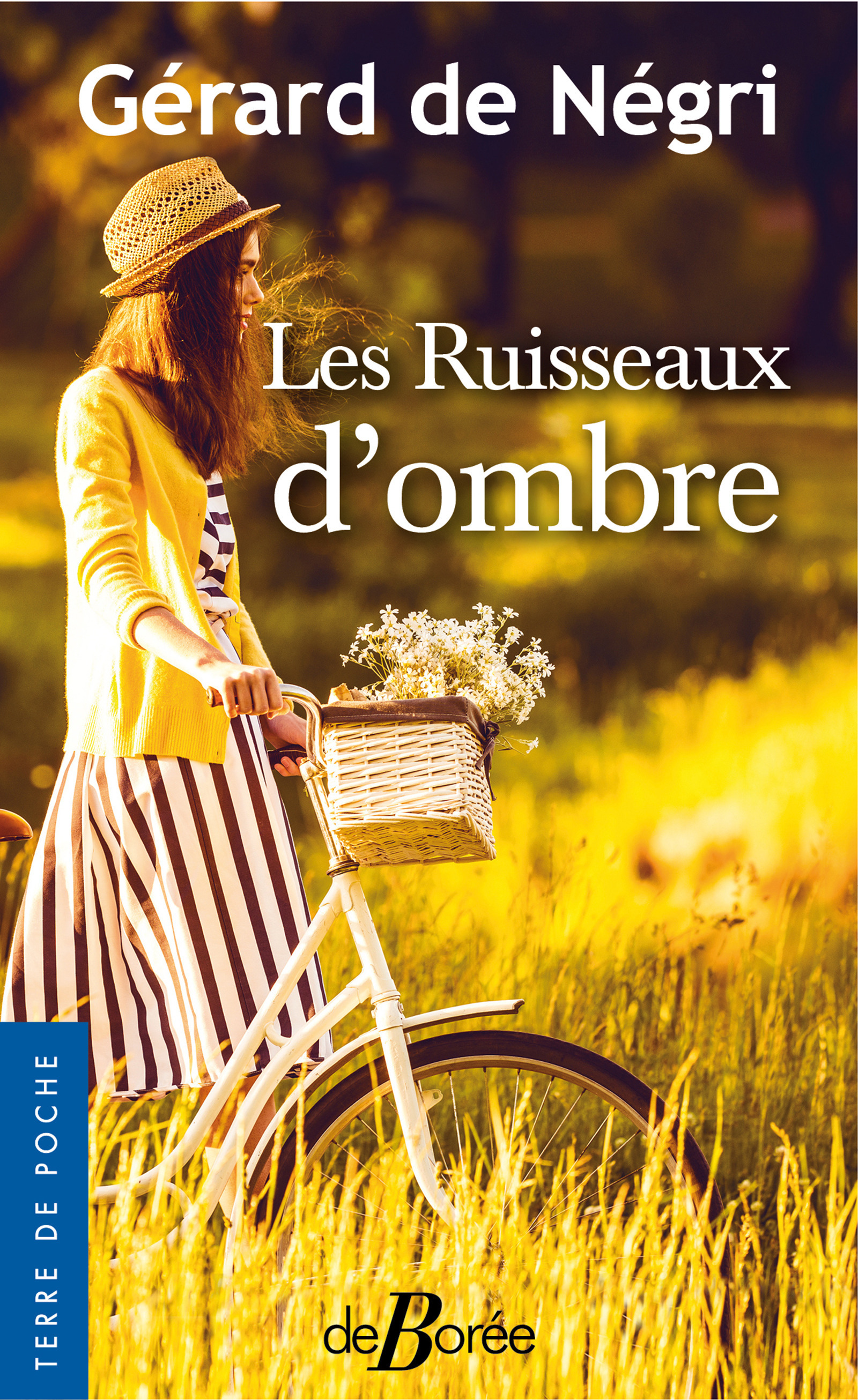 ebook cover of Les Ruisseaux d'ombre, by Gérard de Negri
