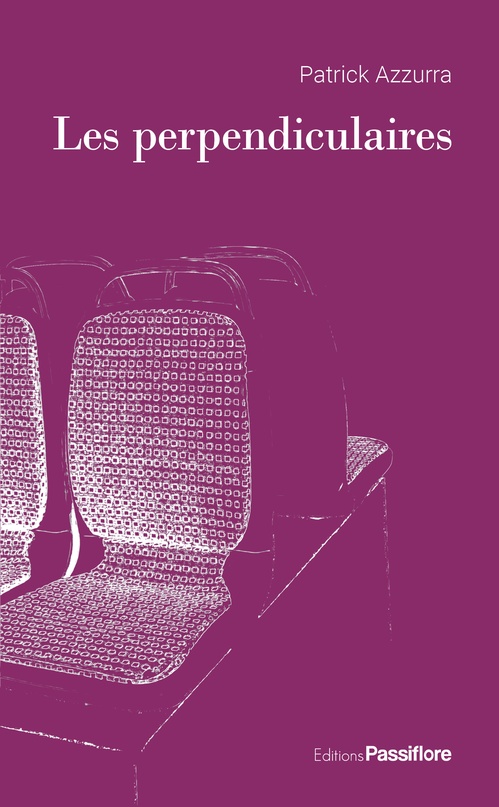 ebook cover of Les perpendiculaires, by Patrick Azzurra
