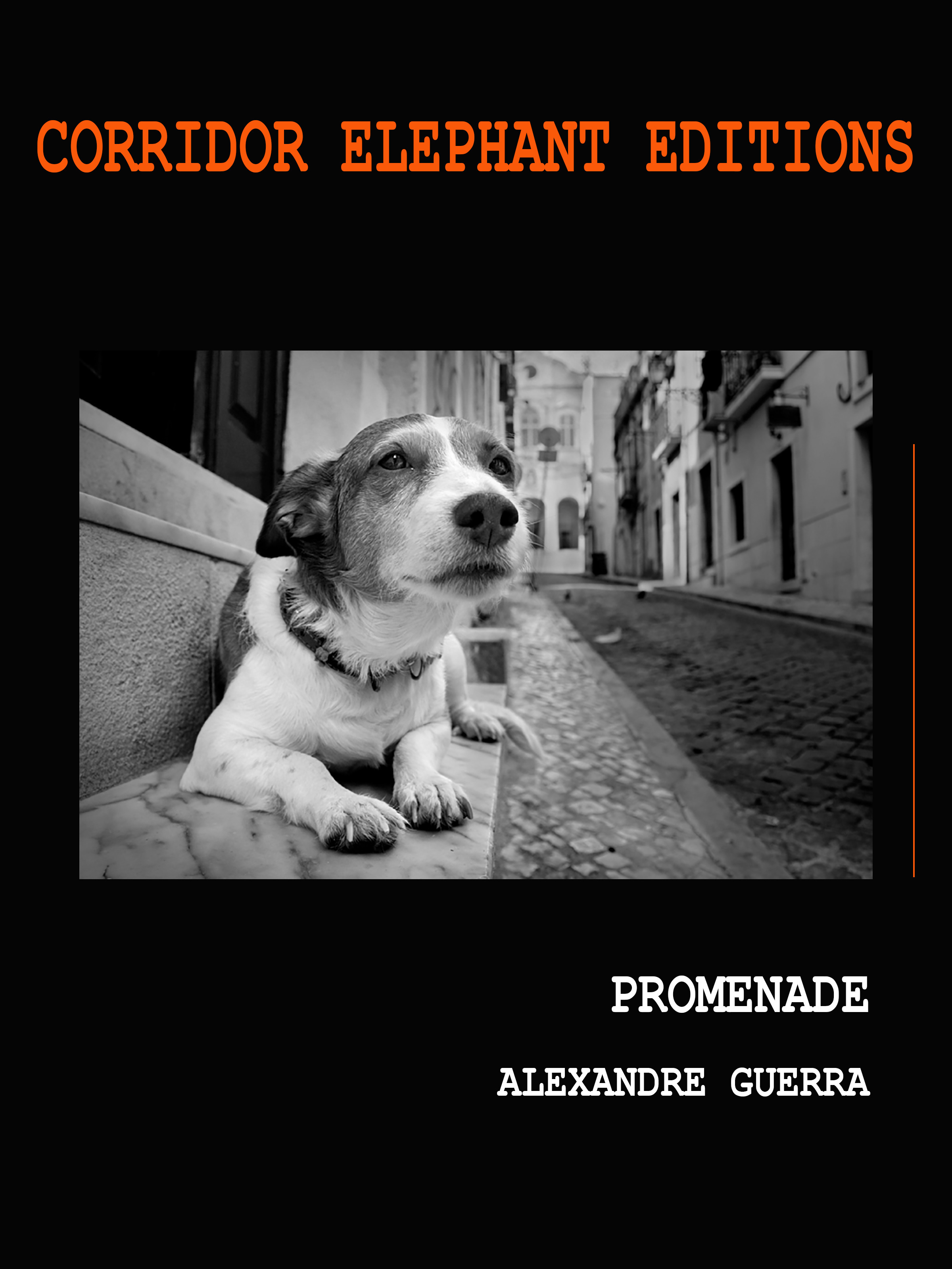 Couverture ebook de Promenade, de Alexandre Guerra