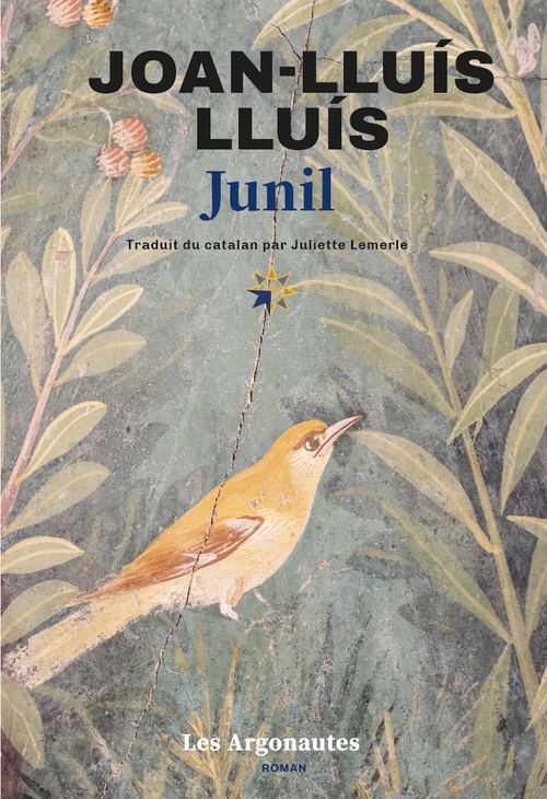 ebook cover of Junil, by Joan-Lluis Lluis
