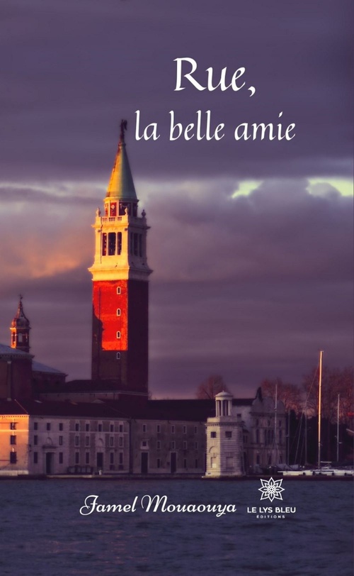 ebook cover of Rue, la belle amie, by Jamel Mouaouya