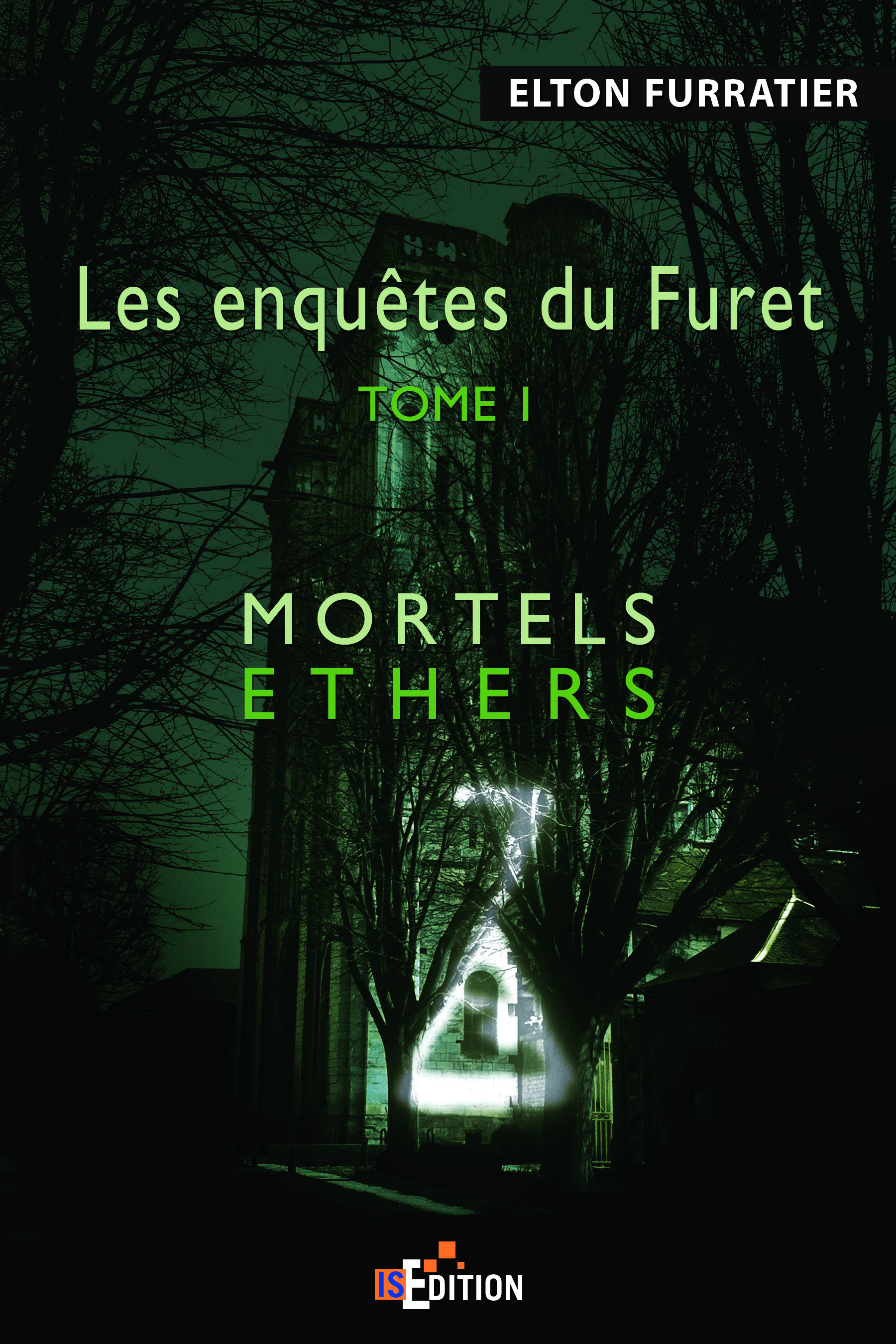 ebook cover of Les enquêtes du Furet, by Elton Furratier