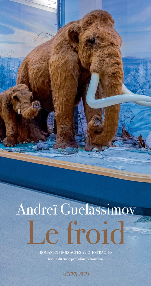 ebook cover of Le Froid, by Andreï Guelassimov