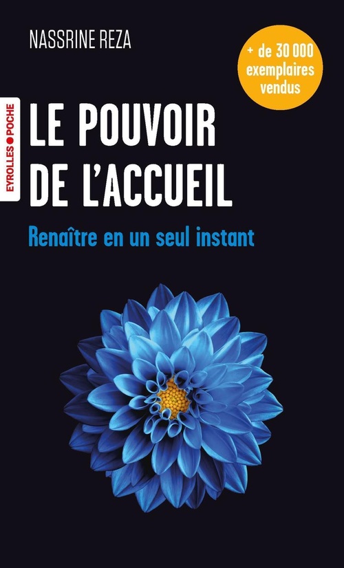 ebook cover of Le pouvoir de l'accueil, by Nassrine Reza