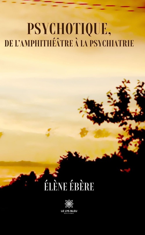 ebook cover of Psychotique, de l'amphithéâtre à la psychiatrie, by Élène Ébère