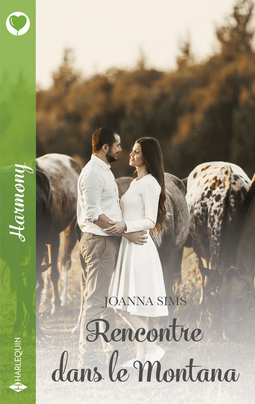 Couverture ebook de Rencontre dans le Montana, de Joanna Sims