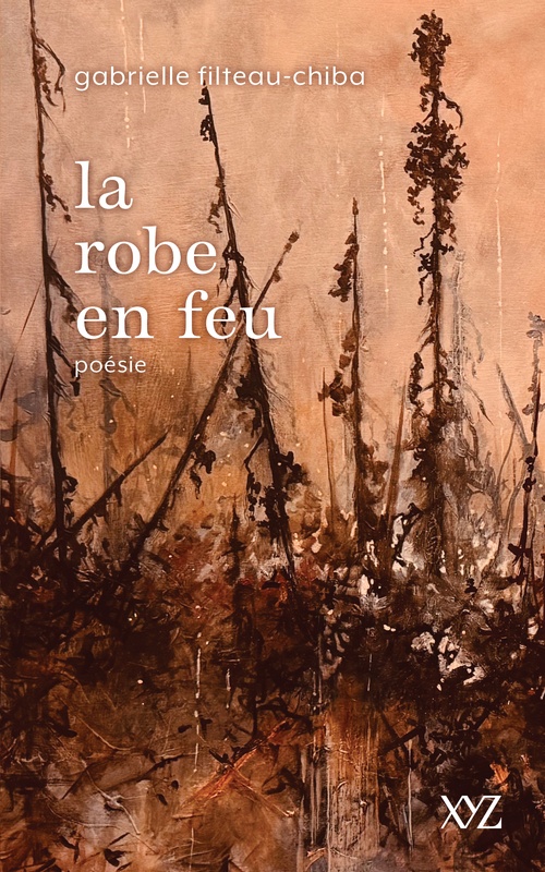 ebook cover of La robe en feu, by Gabrielle Filteau-Chiba