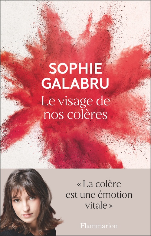 Couverture ebook de Le visage de nos colères, de Sophie Galabru