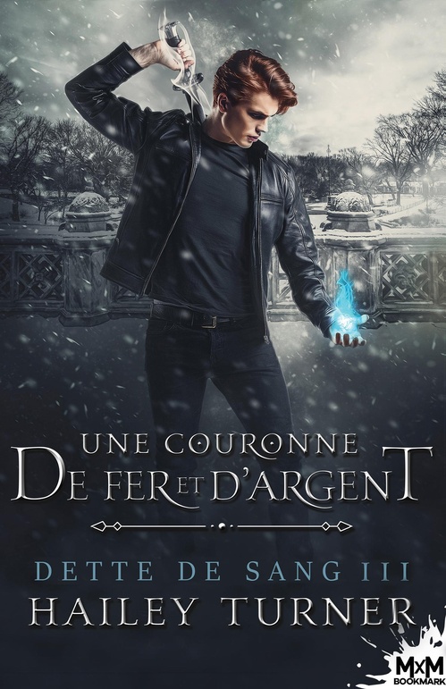 Couverture ebook de Une couronne de fer et d'argent, de Hailey Turner