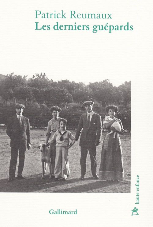 ebook cover of Les derniers guépards, by Patrick Reumaux