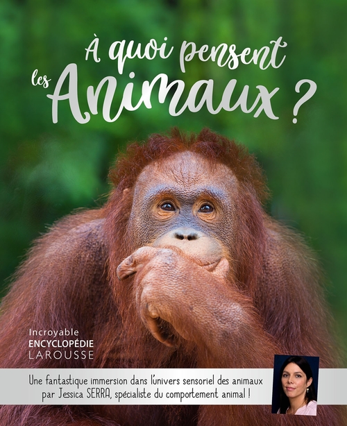 ebook cover of Le grand livre de l'intelligence animale, by Jessica Serra