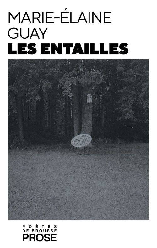 Couverture ebook de Les entailles, de Marie-Elaine Guay