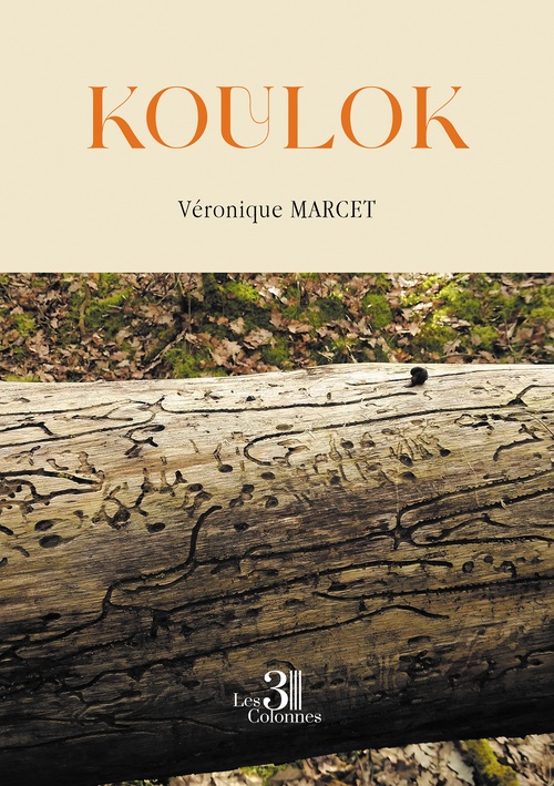 ebook cover of Koulok, by Véronique Marcet