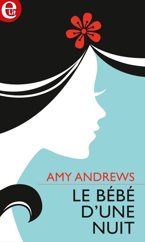 Couverture ebook de Le bébé d'une nuit, de Amy Andrews