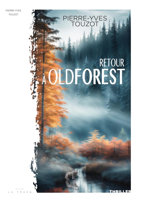 ebook cover of Retour à Oldforest, by Pierre-Yves Touzot