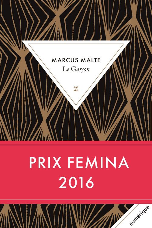 ebook cover of Le Garçon, by Marcus Malte