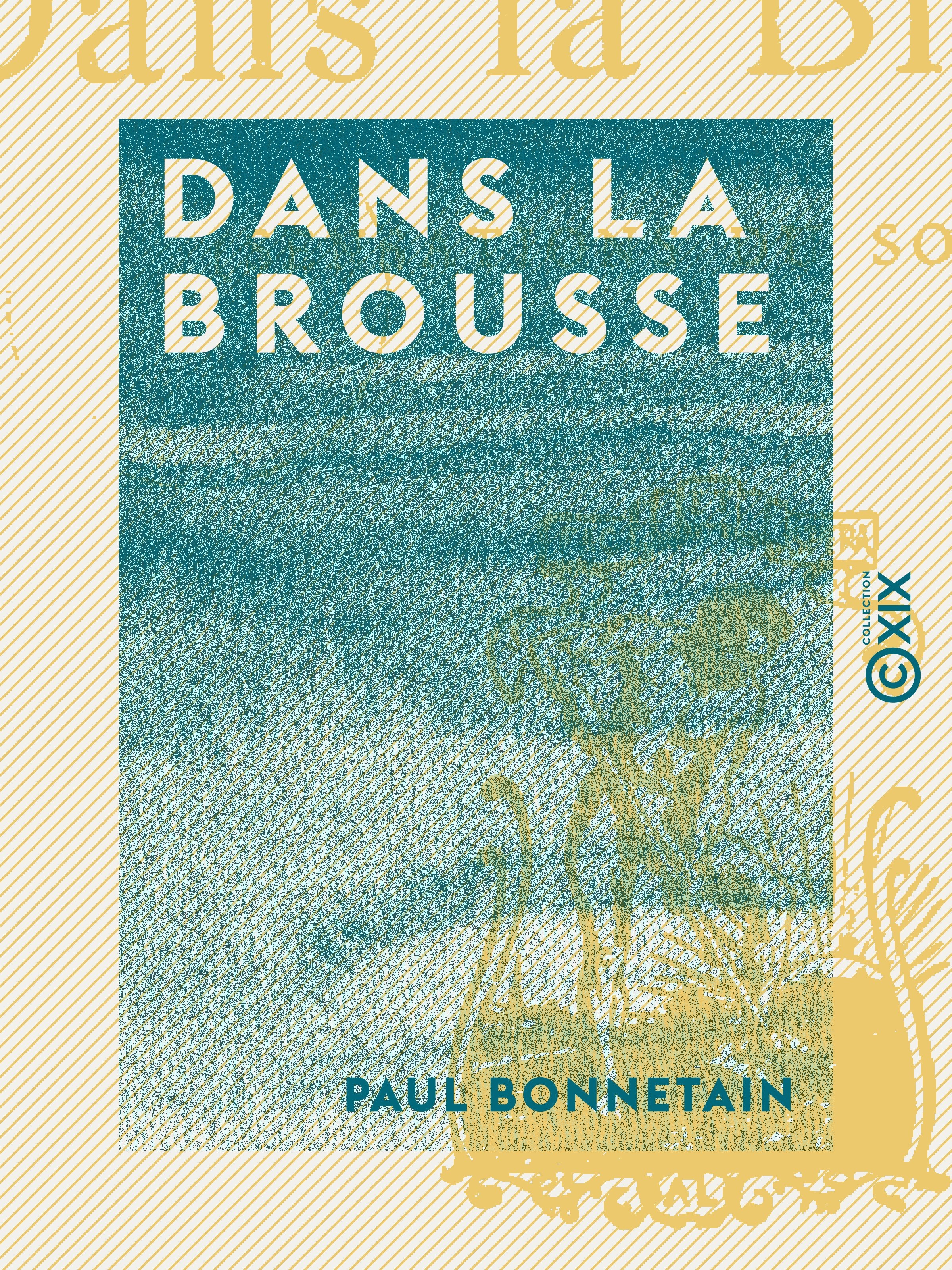 ebook cover of Dans la brousse, by Paul Bonnetain