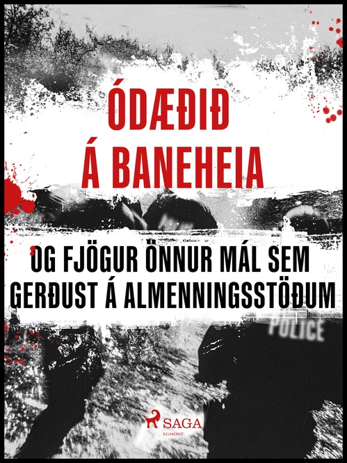Couverture ebook de Ódæðið á Baneheia og fjögur önnur mál sem gerðust á almenningsstöðum, de Ymsir