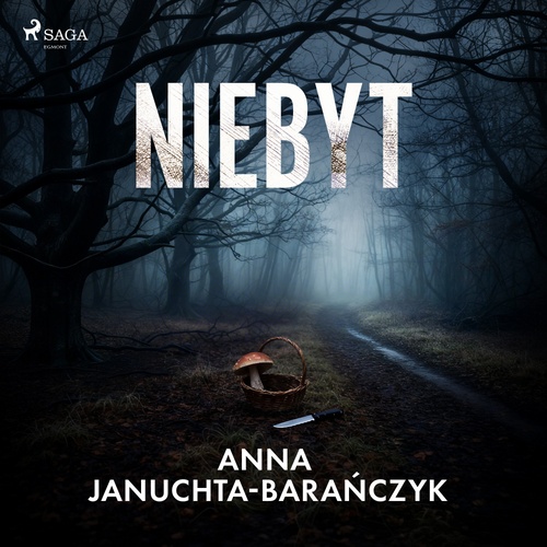 Couverture audiobook de Niebyt, de Anna Januchta-Bara''Nczyk