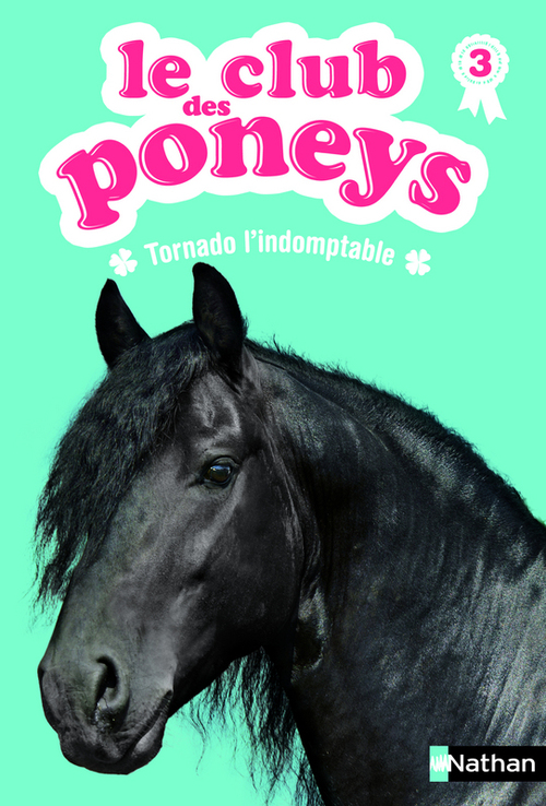 ebook cover of Tornado l'indomptable, by Sylvie Baussier