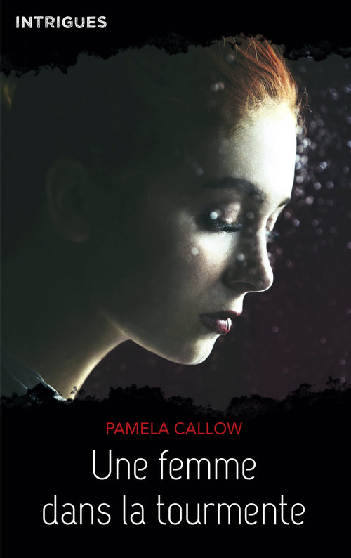 ebook cover of Une femme dans la tourmente, by Pamela Callow
