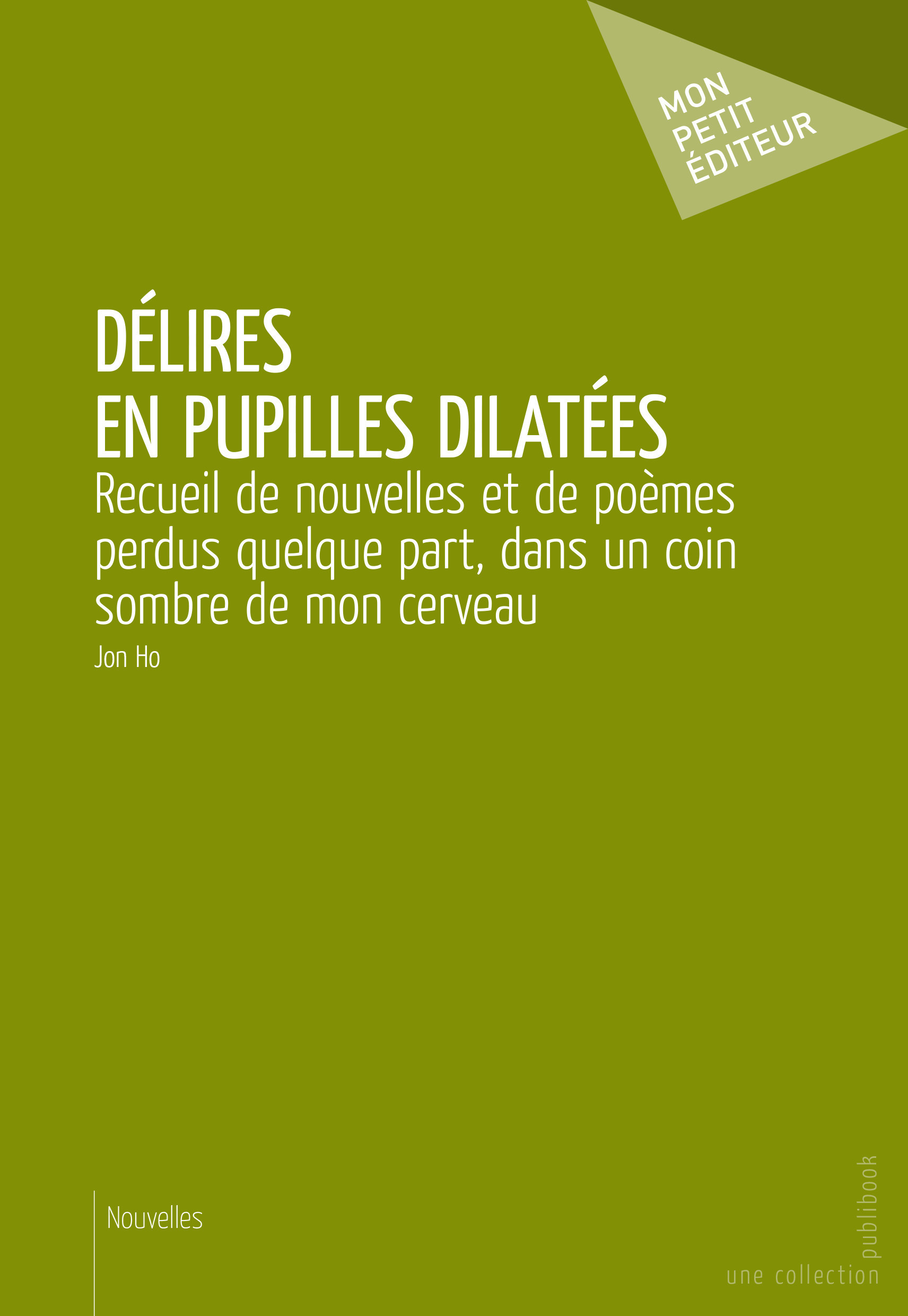 ebook cover of Délires en pupilles dilatées, by Jon Ho