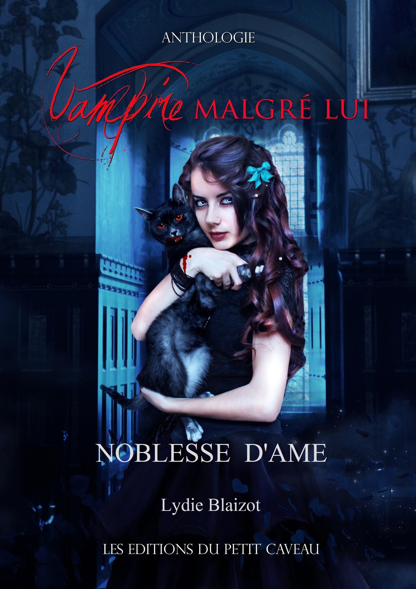 Couverture ebook de Noblesse d'âme, de Lydie Blaizot