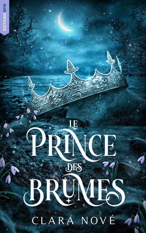 ebook cover of Le prince des brumes, by Clara Nove