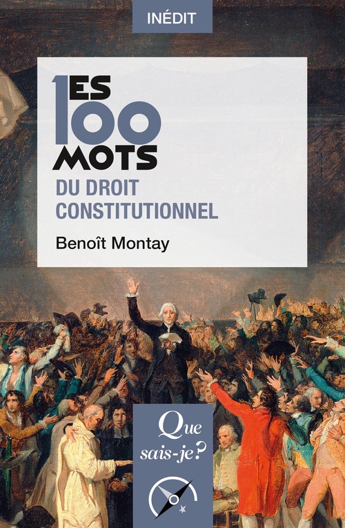 Couverture ebook de Les 100 mots du droit constitutionnel, de Benoît Montay