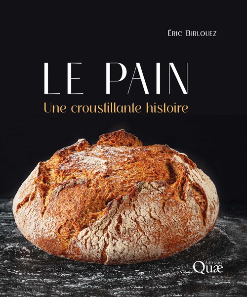 ebook cover of Le pain, by Eric Birlouez