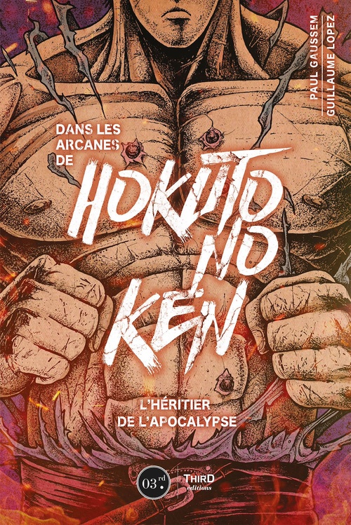ebook cover of Dans les arcanes de Hokuto no Ken, by Author Gaussem, Guillaume Lopez